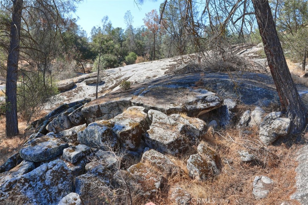 42571 Long Hollow Dr, Coarsegold, CA 93614