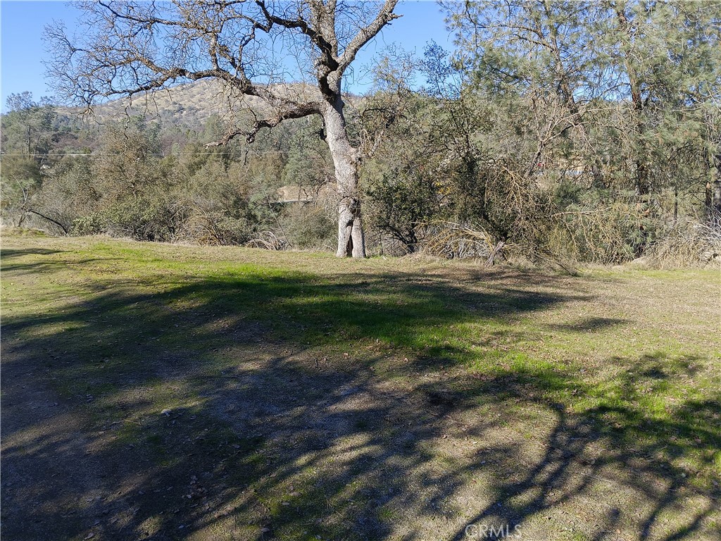 0 Lot 856 Deep Forest Dr, Coarsegold, CA 93614