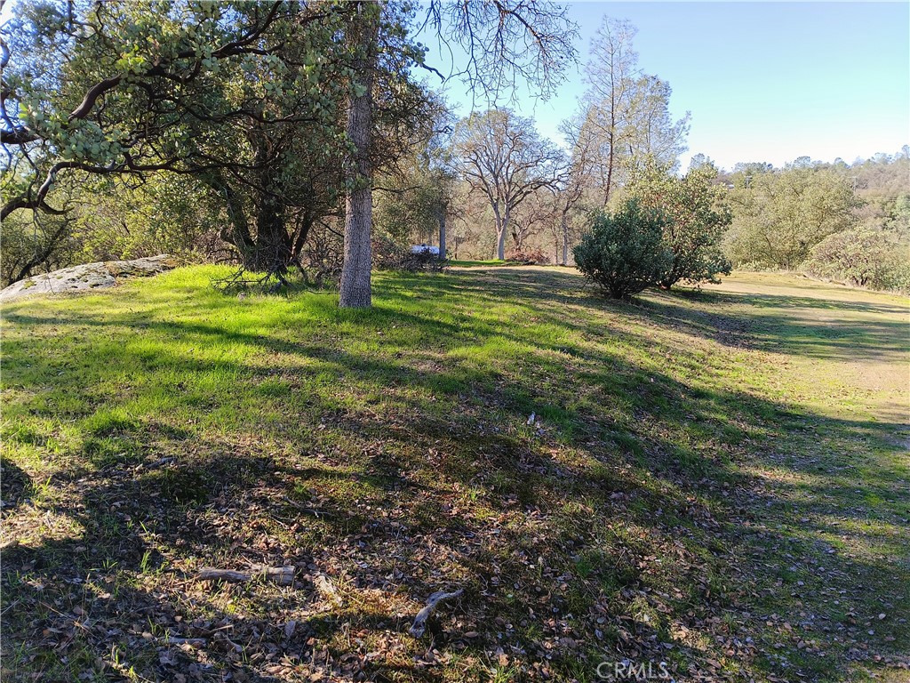 0 Lot 856 Deep Forest Dr, Coarsegold, CA 93614