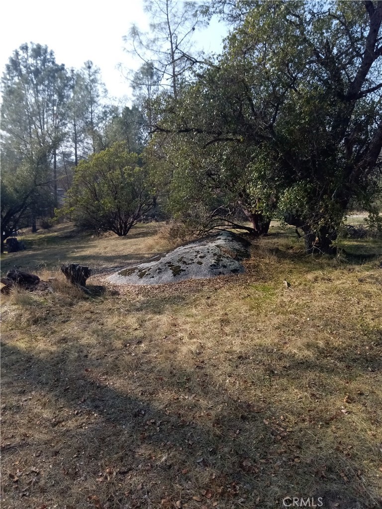 0 Lot 856 Deep Forest Dr, Coarsegold, CA 93614
