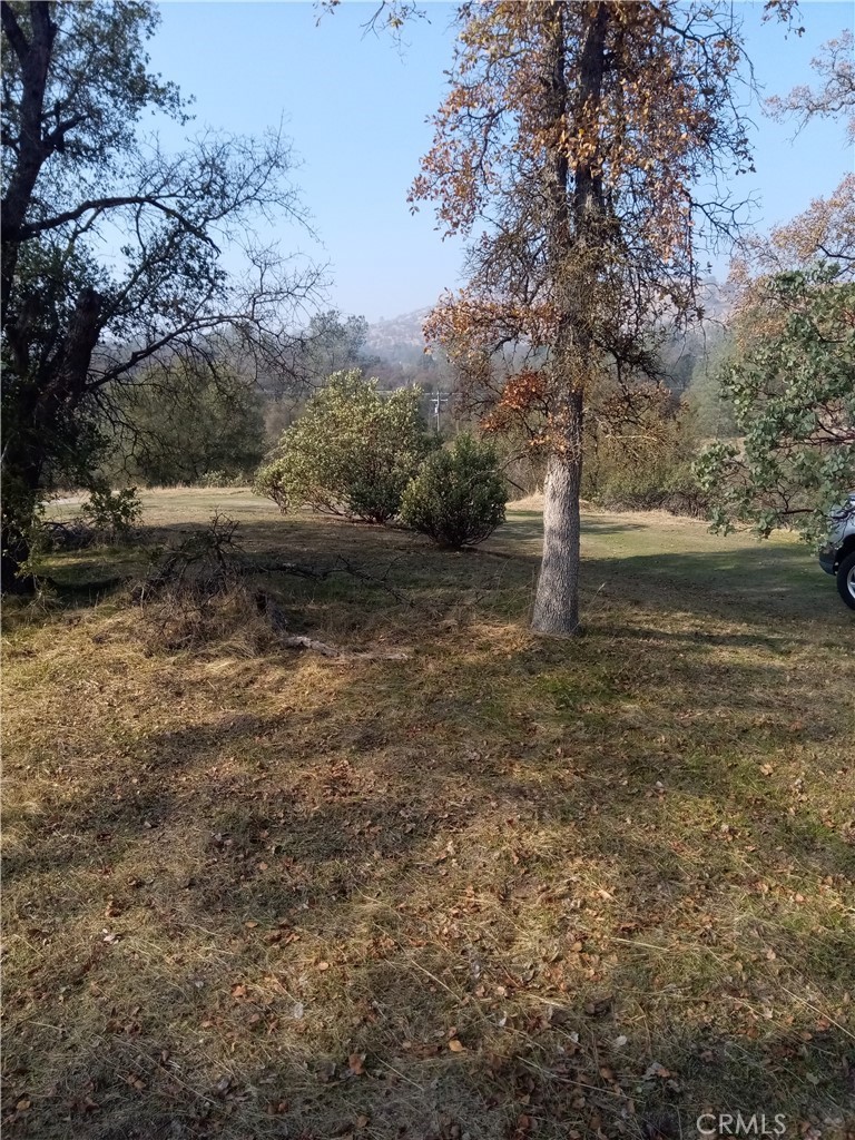 0 Lot 856 Deep Forest Dr, Coarsegold, CA 93614