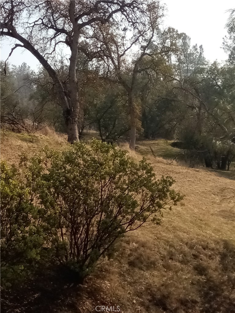 0 Lot 856 Deep Forest Dr, Coarsegold, CA 93614