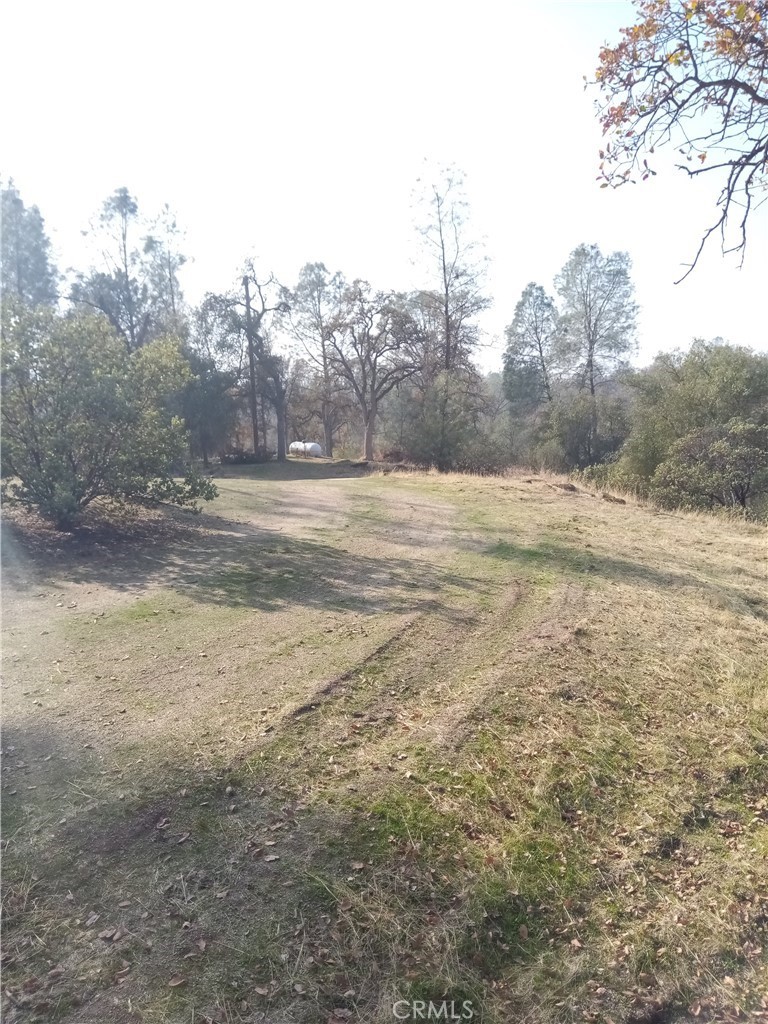 0 Lot 856 Deep Forest Dr, Coarsegold, CA 93614