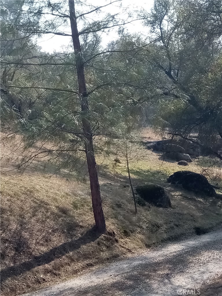 0 Lot 856 Deep Forest Dr, Coarsegold, CA 93614