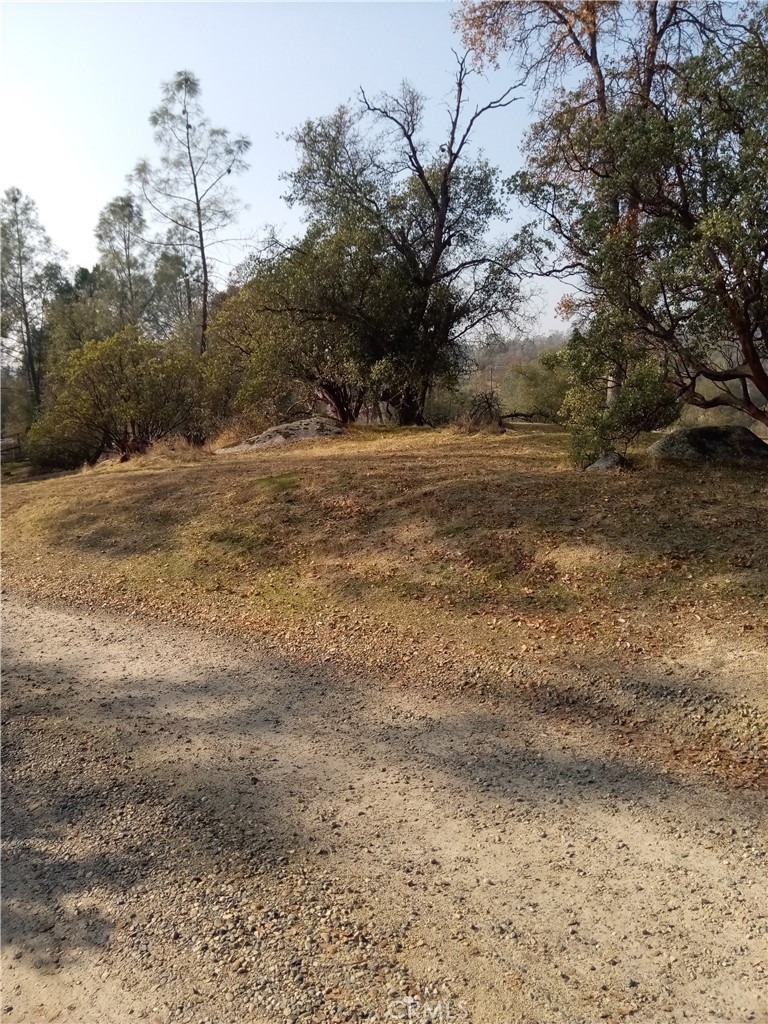 0 Lot 856 Deep Forest Dr, Coarsegold, CA 93614