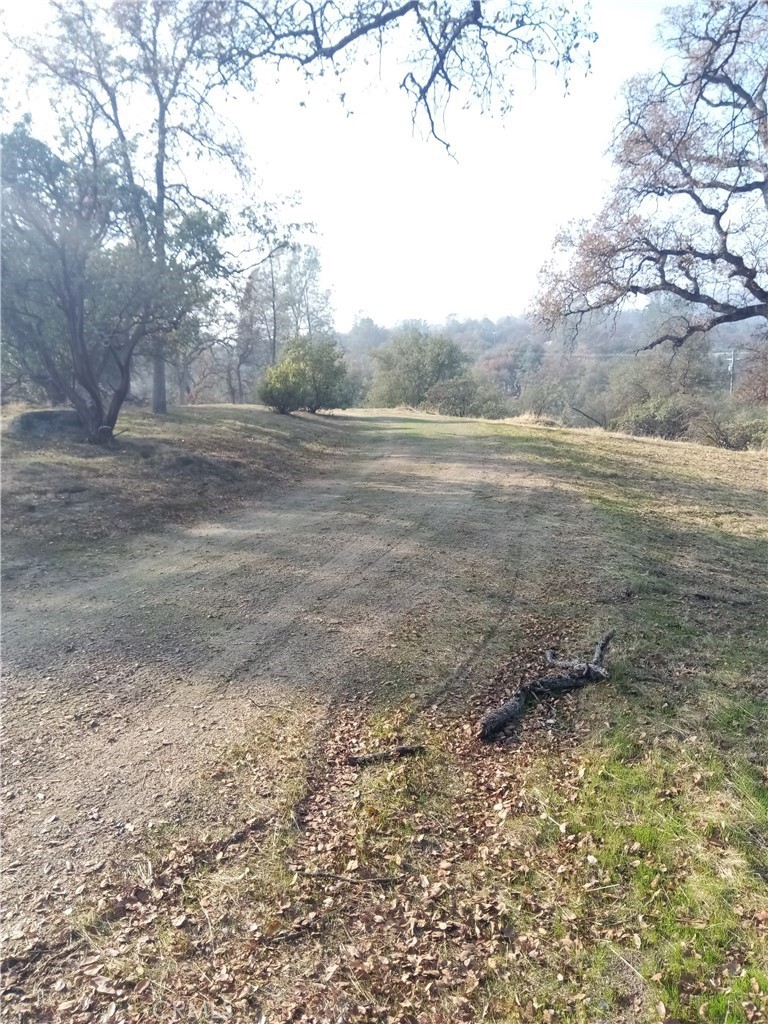 0 Lot 856 Deep Forest Dr, Coarsegold, CA 93614