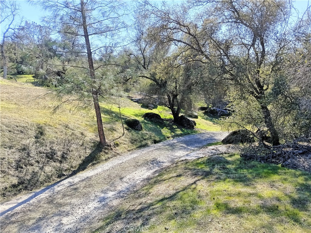0 Lot 856 Deep Forest Dr, Coarsegold, CA 93614