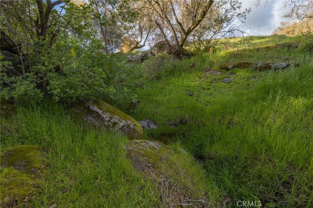 43317 Running Deer Ct, Coarsegold, CA 93614