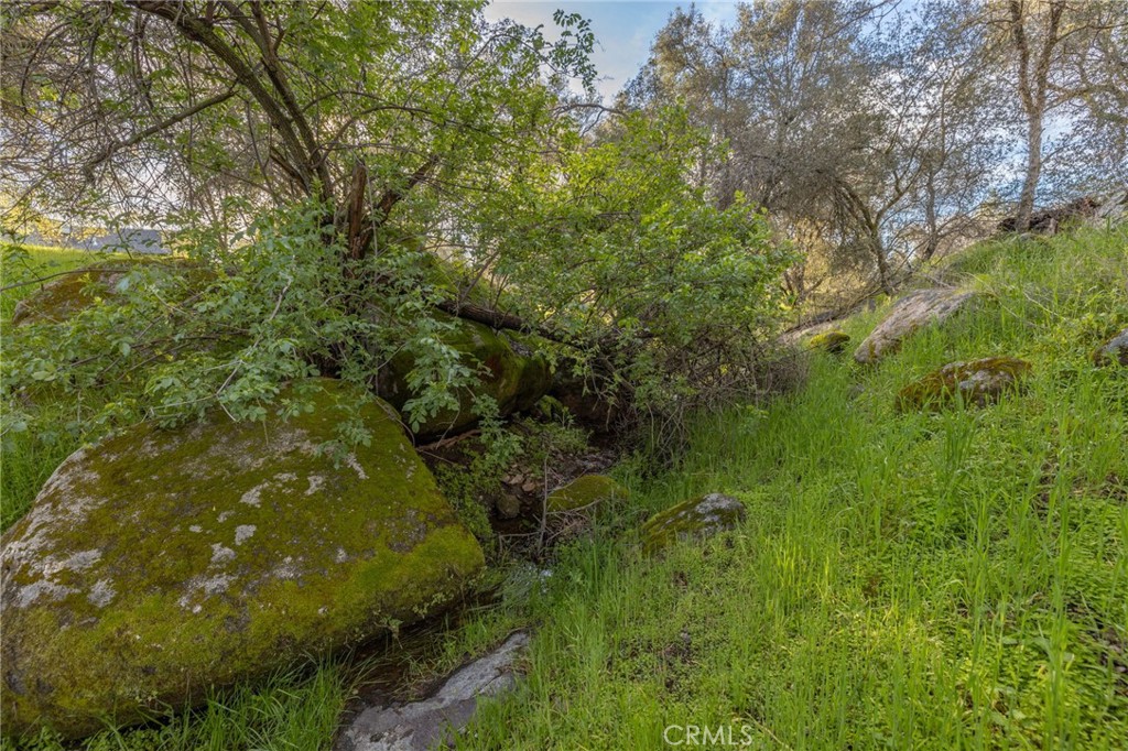 43317 Running Deer Ct, Coarsegold, CA 93614