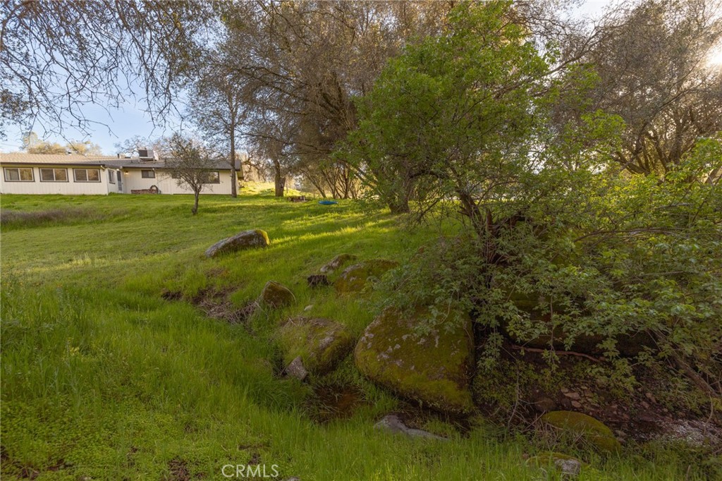 43317 Running Deer Ct, Coarsegold, CA 93614