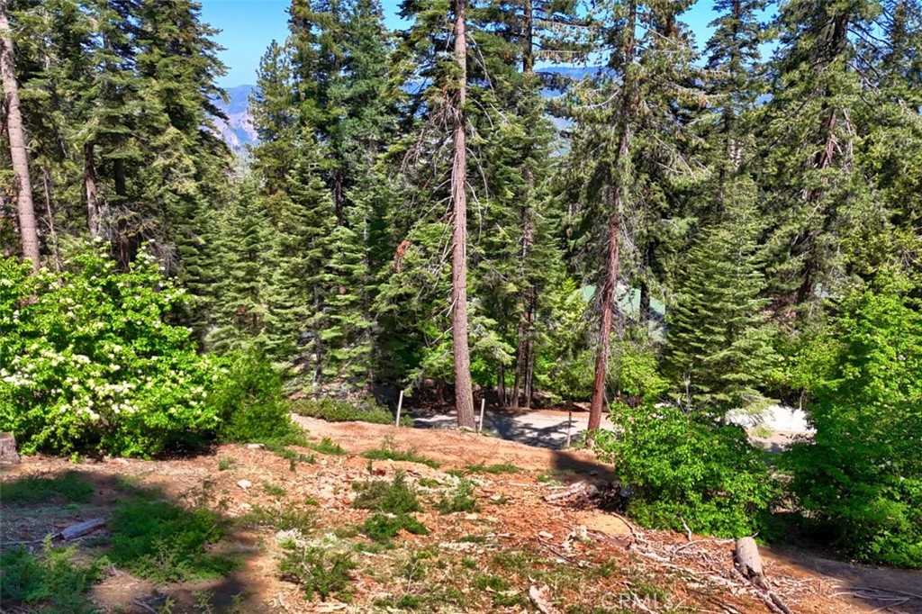 7420 Henness Ridge Rd, Yosemite, CA 95389