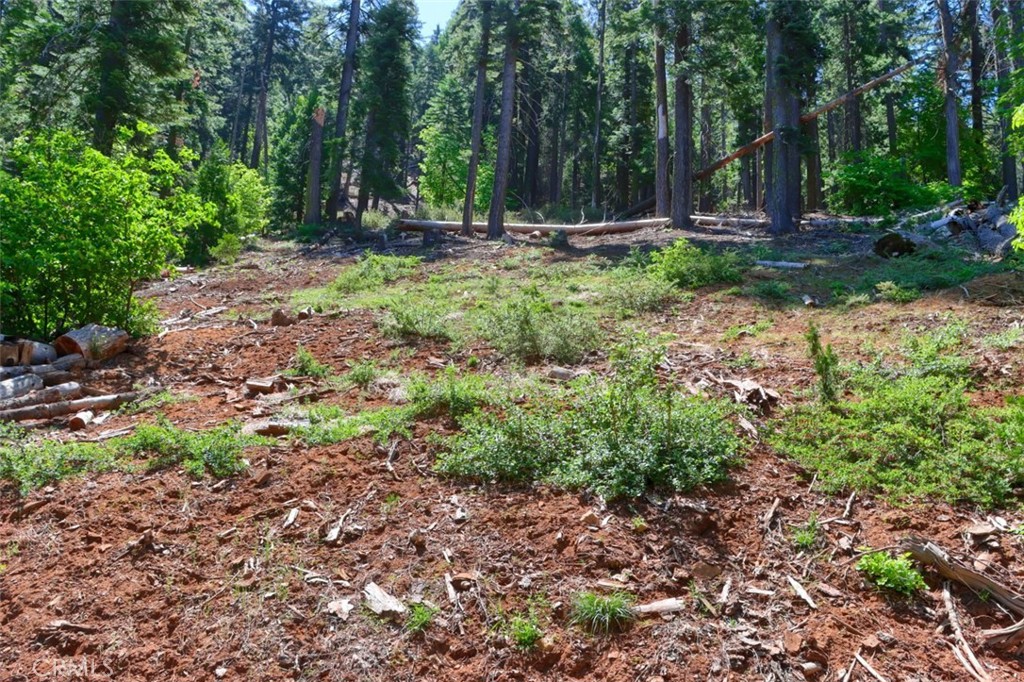 7420 Henness Ridge Rd, Yosemite, CA 95389