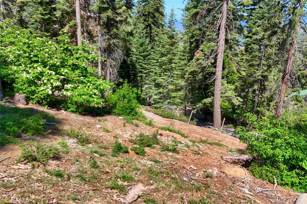 7420 Henness Ridge Rd, Yosemite, CA 95389