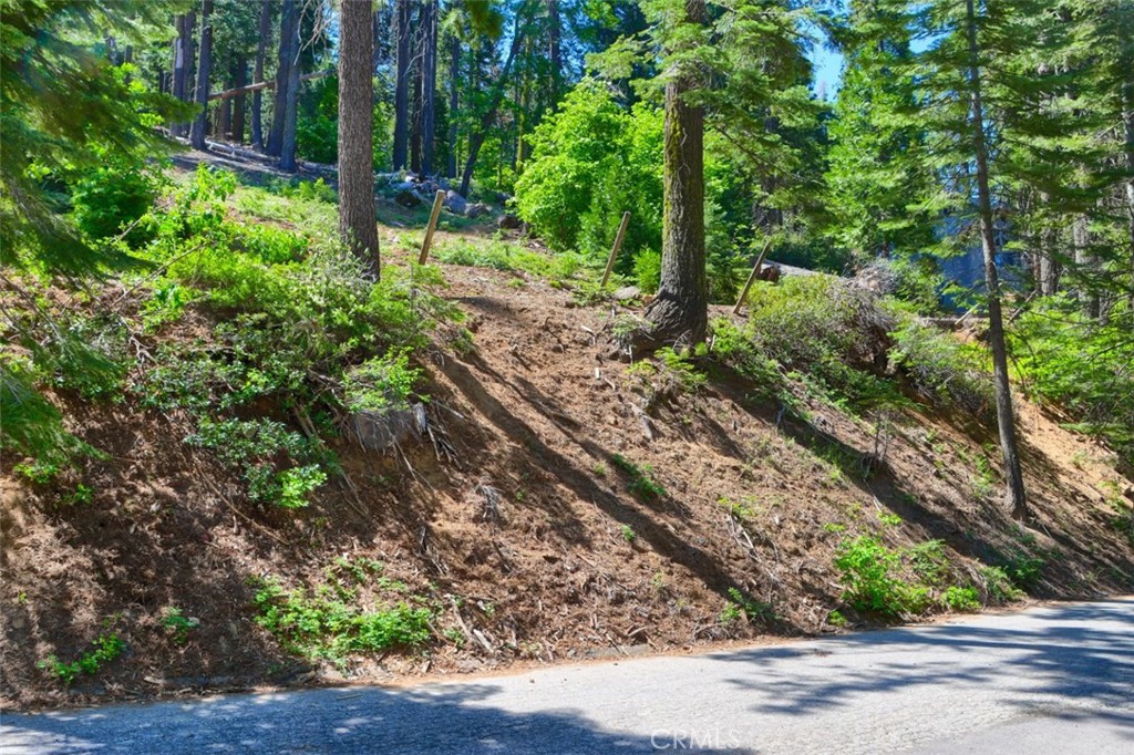 7420 Henness Ridge Rd, Yosemite, CA 95389
