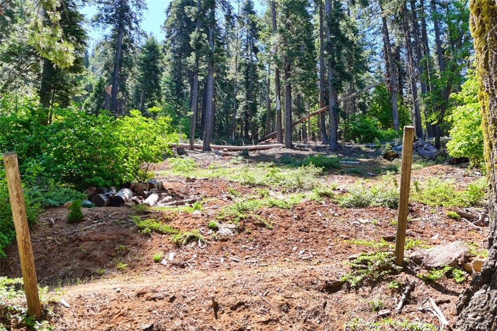7420 Henness Ridge Rd, Yosemite, CA 95389