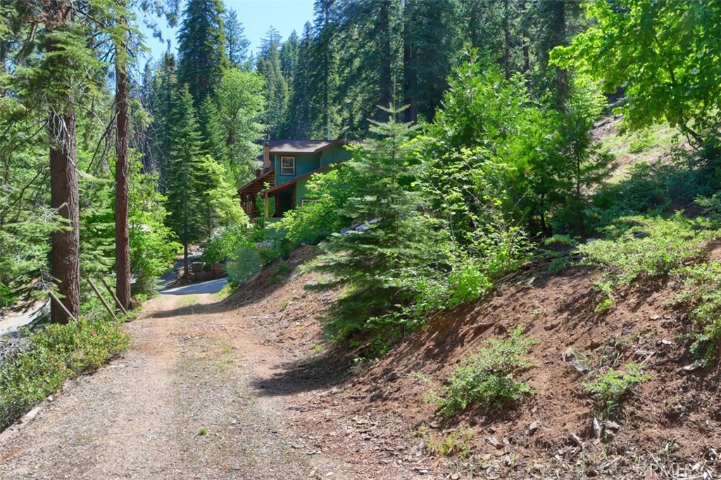 7420 Henness Ridge Rd, Yosemite, CA 95389