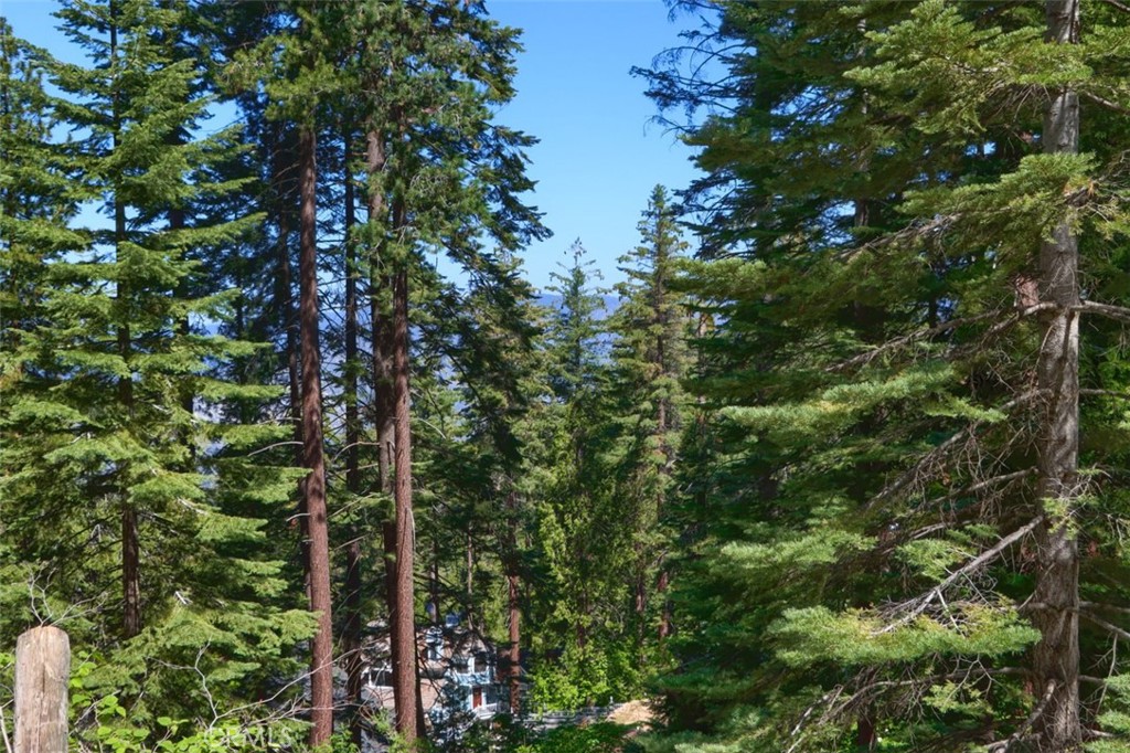 7420 Henness Ridge Rd, Yosemite, CA 95389