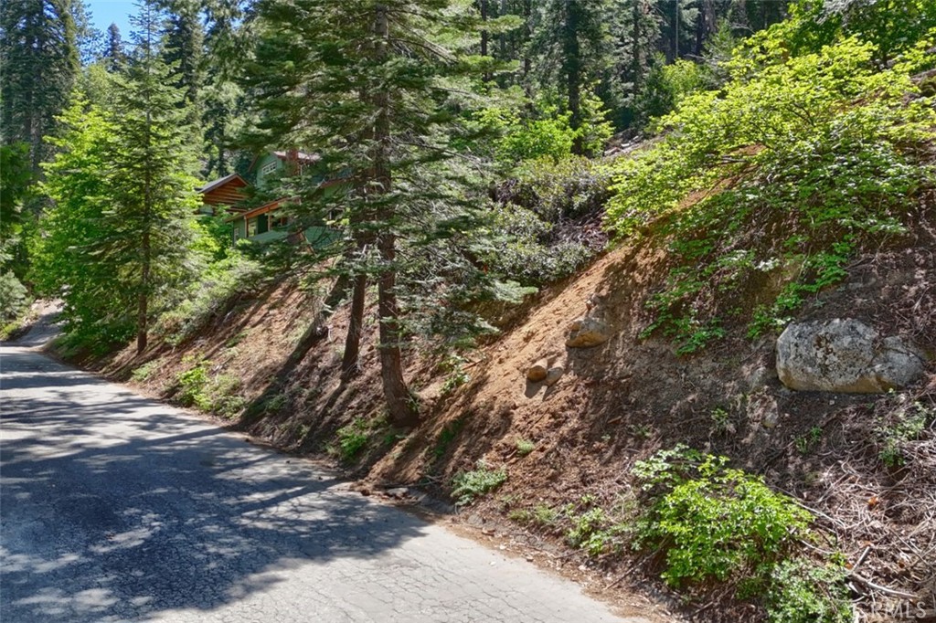 7420 Henness Ridge Rd, Yosemite, CA 95389