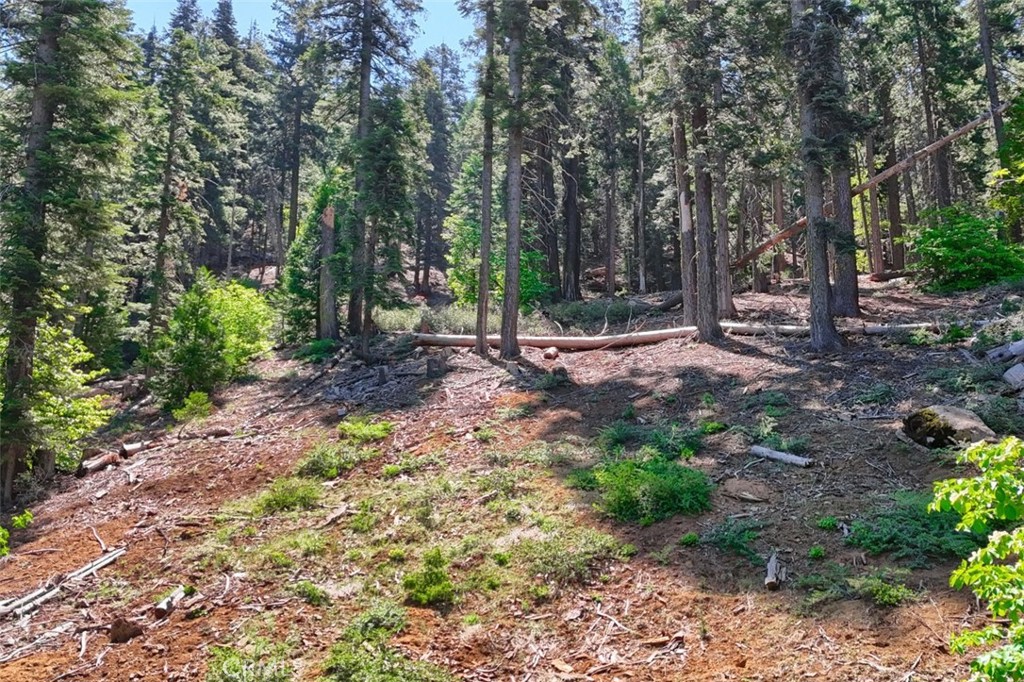 7420 Henness Ridge Rd, Yosemite, CA 95389
