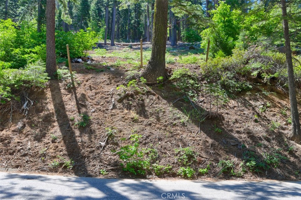 7420 Henness Ridge Rd, Yosemite, CA 95389