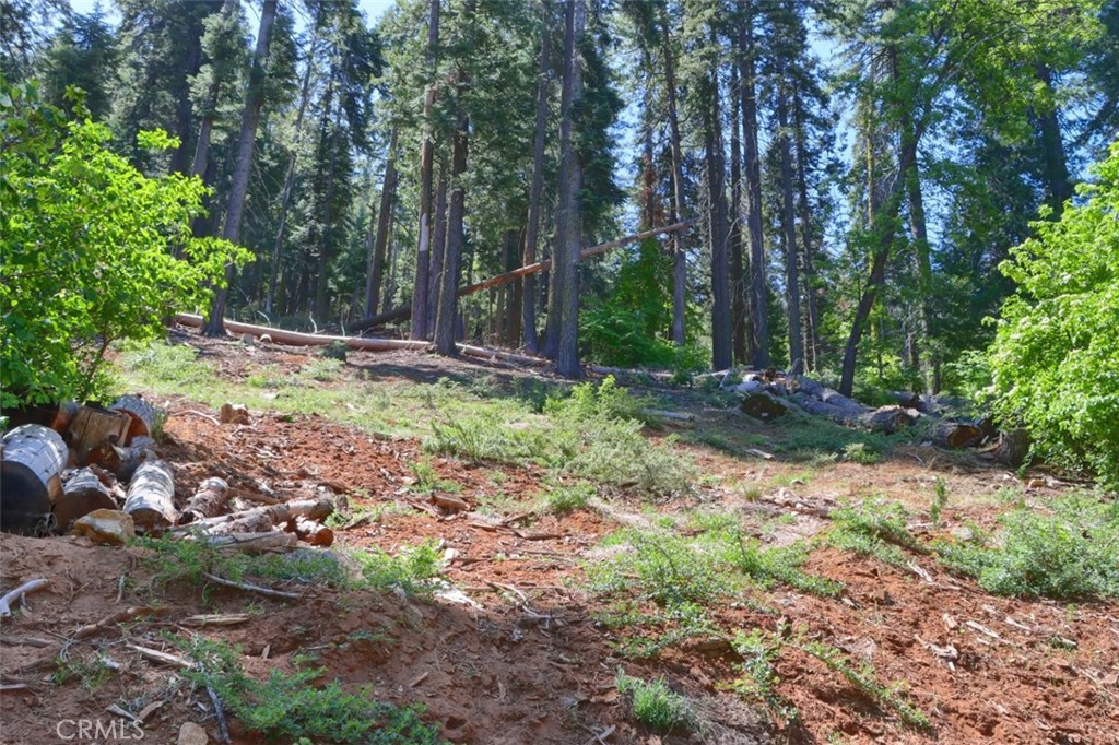 7420 Henness Ridge Rd, Yosemite, CA 95389