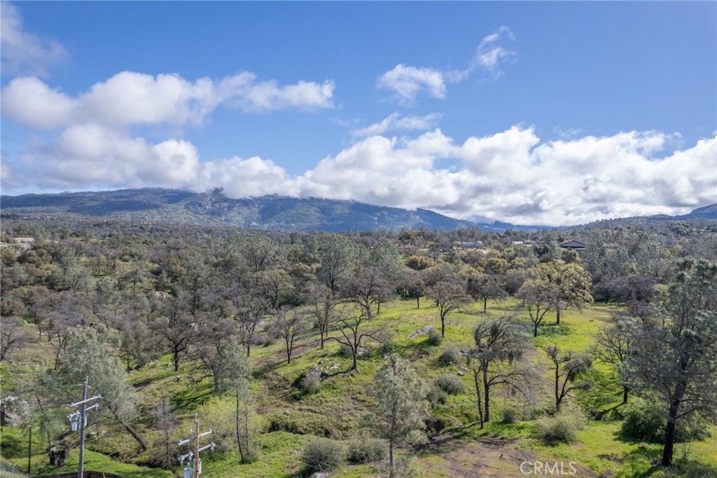 29645 Auberry Rd, Prather, CA 93651