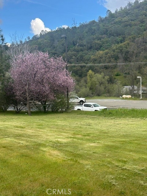 46982 Pony Express Ln, Coarsegold, CA 93614