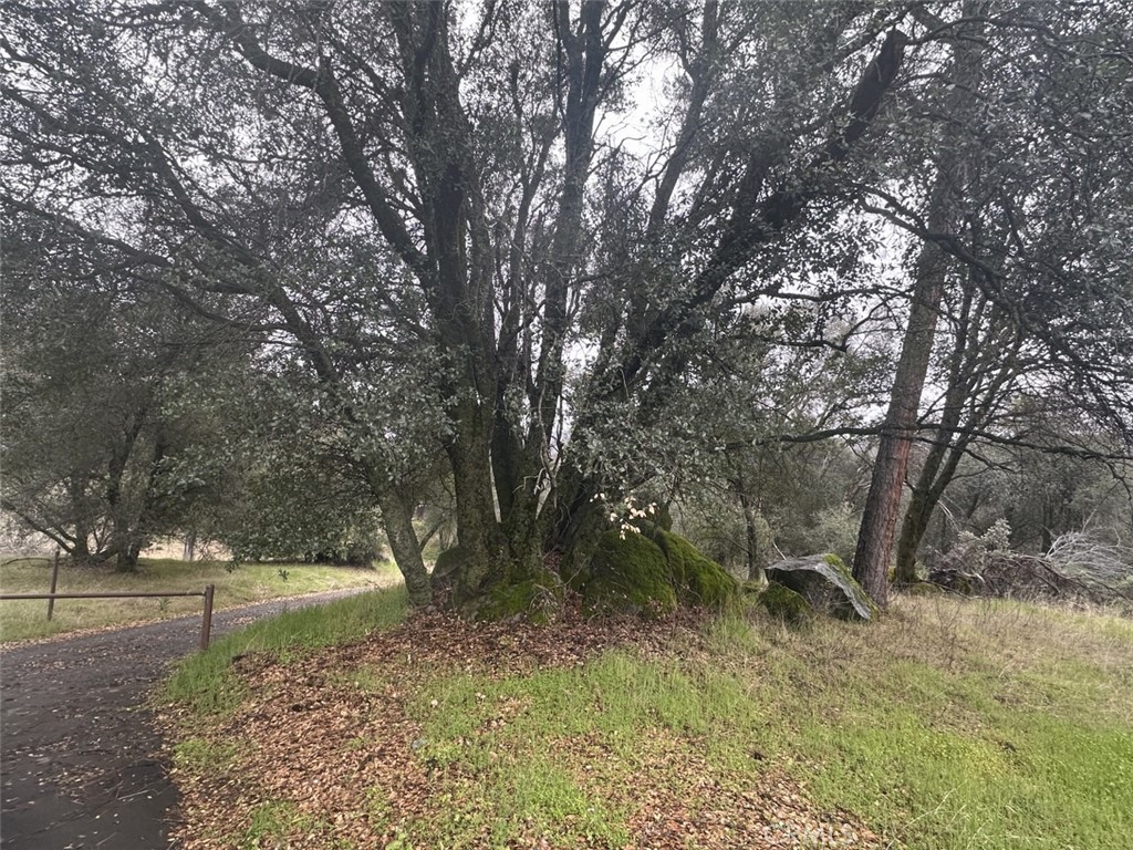 50330 Road 426, Oakhurst, CA 93644