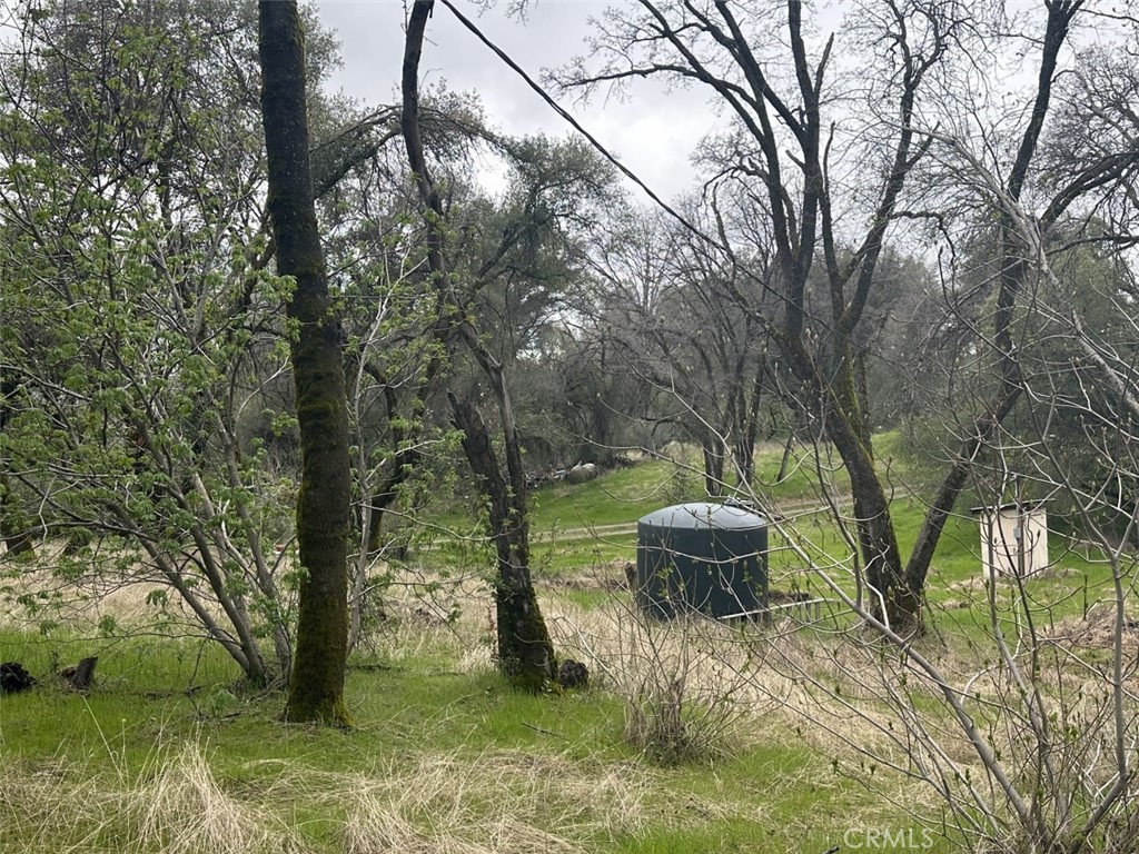 50330 Road 426, Oakhurst, CA 93644