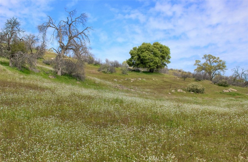 32604 Road 600, Raymond, CA 93653