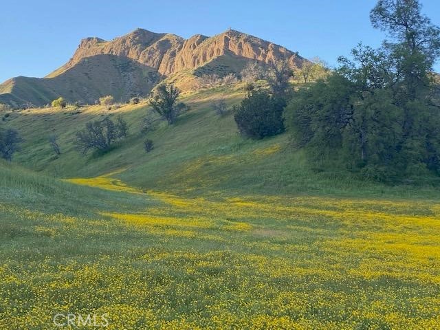 41346 Coalinga Mineral Springs Rd, Coalinga, CA 93210