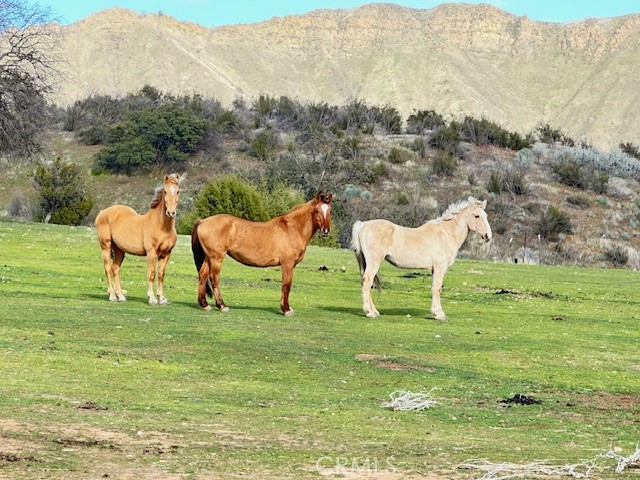 41346 Coalinga Mineral Springs Rd, Coalinga, CA 93210