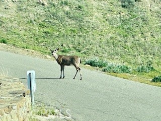 41346 Coalinga Mineral Springs Rd, Coalinga, CA 93210