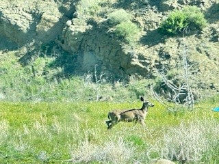 41346 Coalinga Mineral Springs Rd, Coalinga, CA 93210