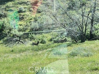 41346 Coalinga Mineral Springs Rd, Coalinga, CA 93210