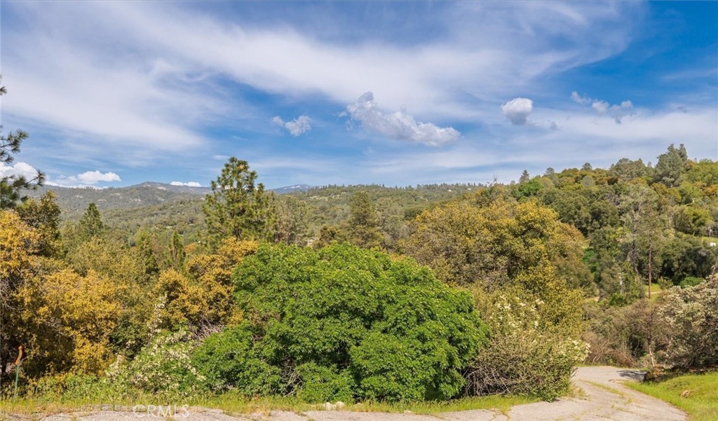 50566 Critter Creek Ln, Oakhurst, CA 93644