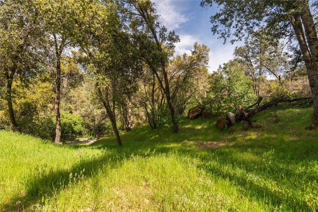 50566 Critter Creek Ln, Oakhurst, CA 93644