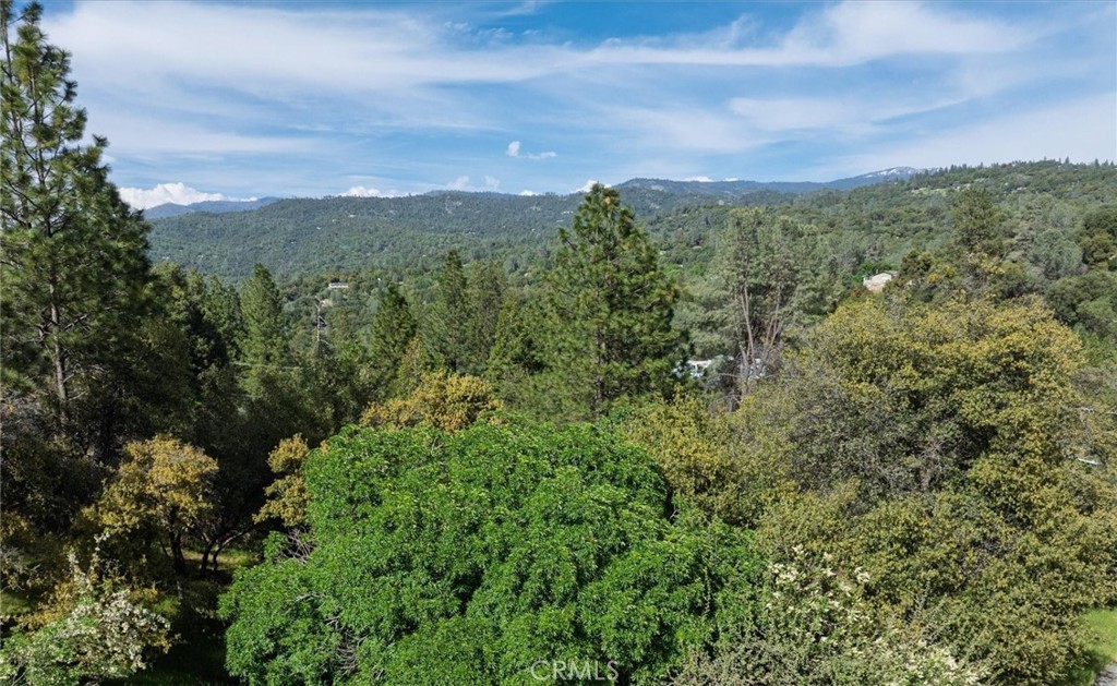 50566 Critter Creek Ln, Oakhurst, CA 93644