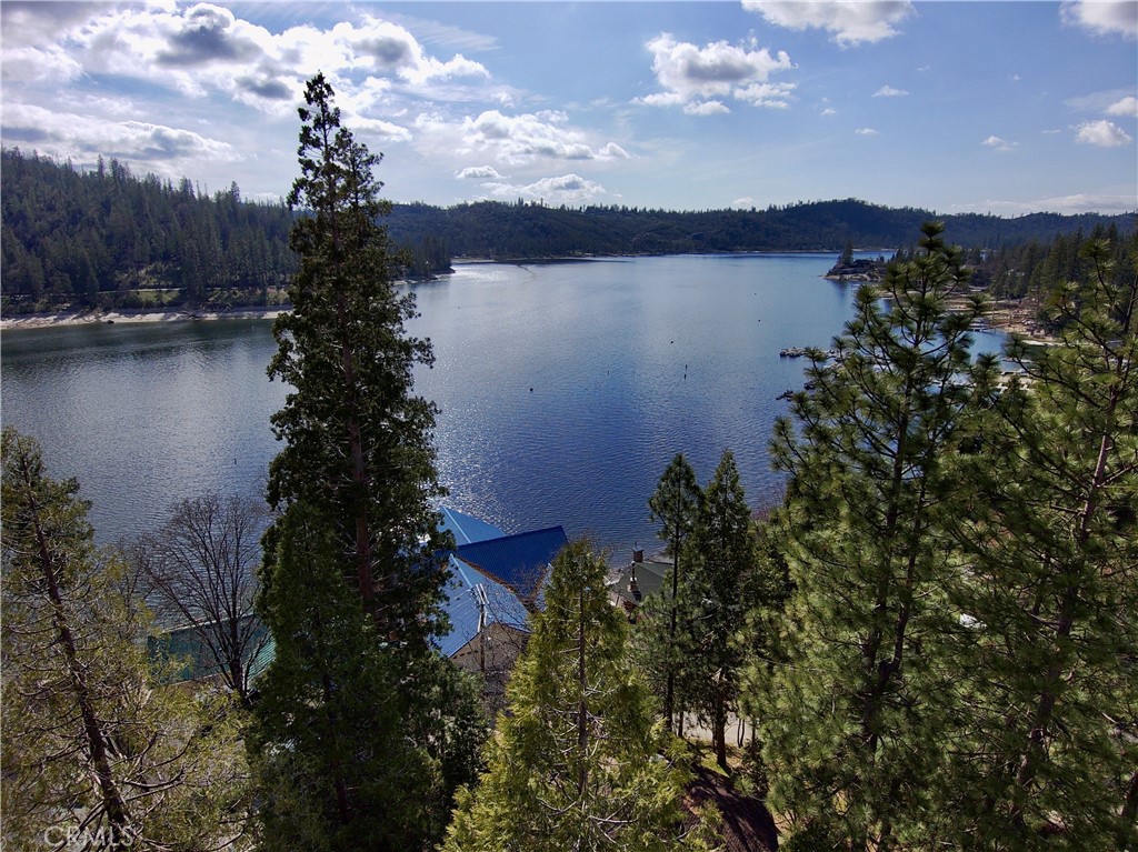 39121 Lake Dr, Bass Lake, CA 93604