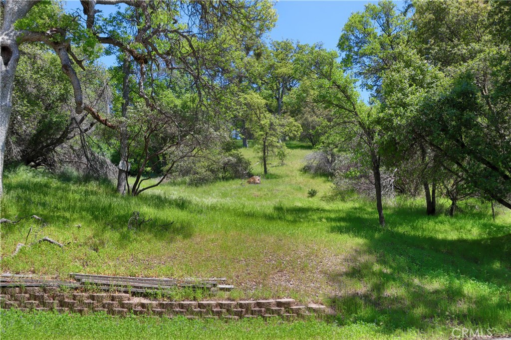42275 Buckeye Rd, Oakhurst, CA 93644