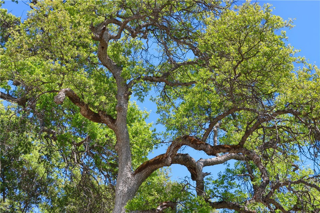 42275 Buckeye Rd, Oakhurst, CA 93644