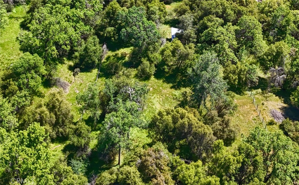 42275 Buckeye Rd, Oakhurst, CA 93644