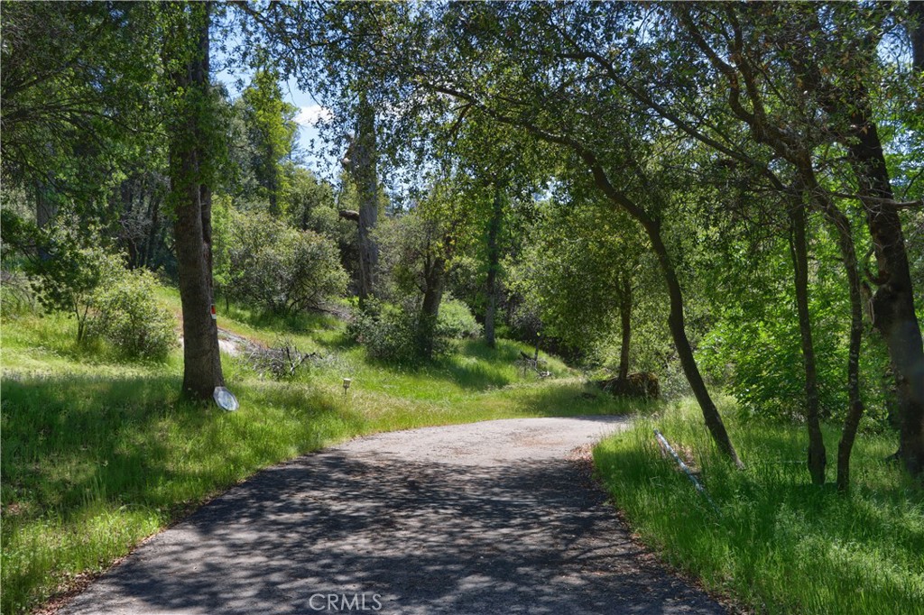 42275 Buckeye Rd, Oakhurst, CA 93644