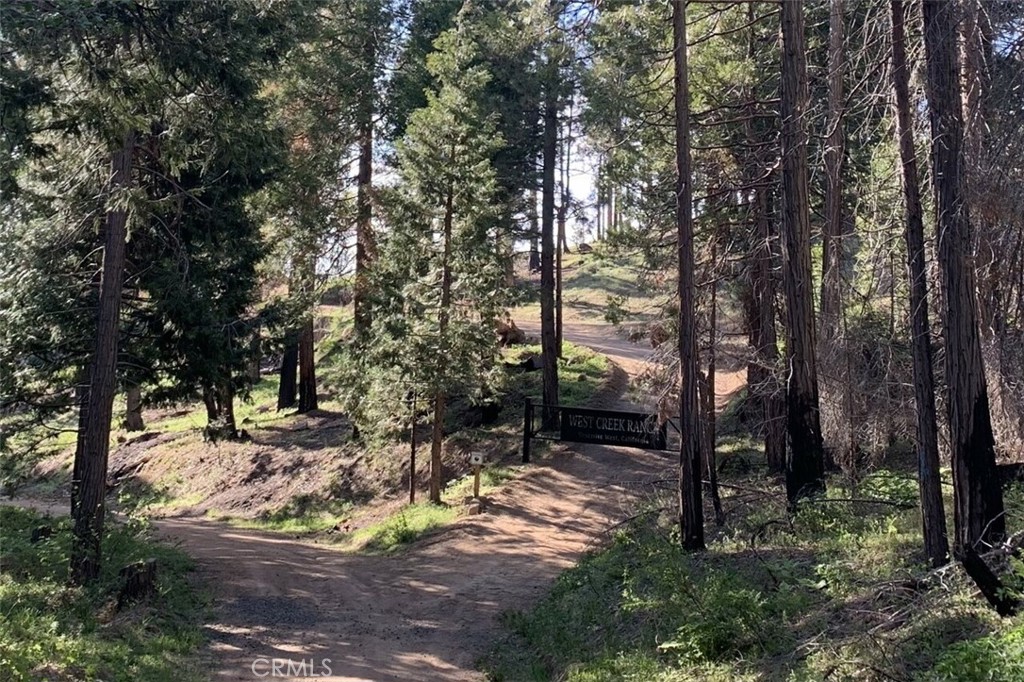 7170 7174 Yosemite Park Way, Yosemite, CA 95389