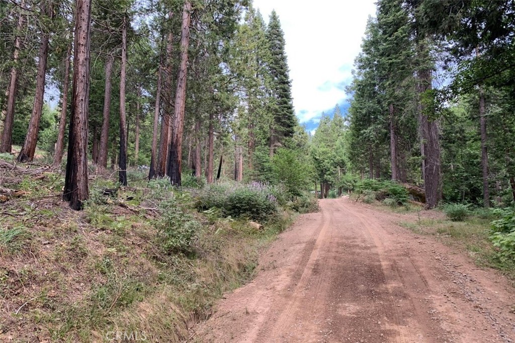 7170 7174 Yosemite Park Way, Yosemite, CA 95389