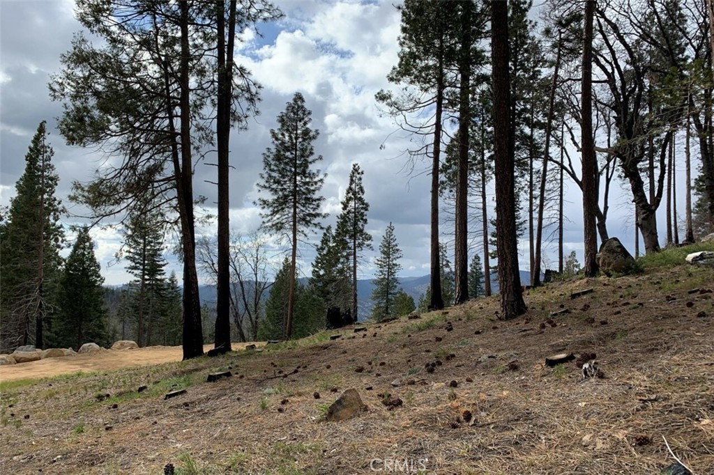 7170 7174 Yosemite Park Way, Yosemite, CA 95389