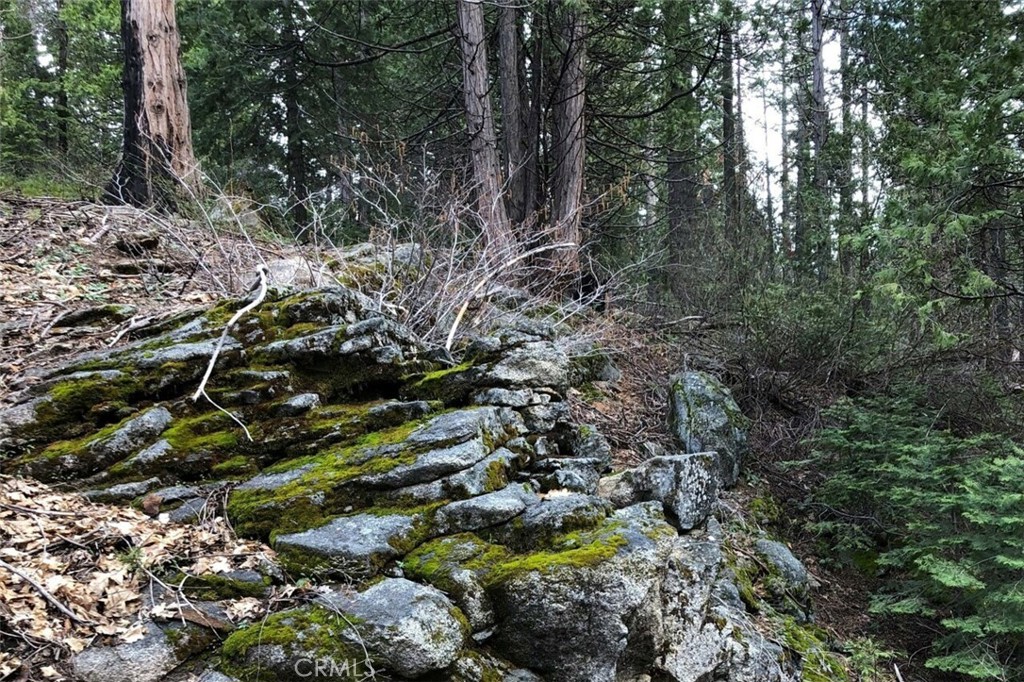 7170 7174 Yosemite Park Way, Yosemite, CA 95389