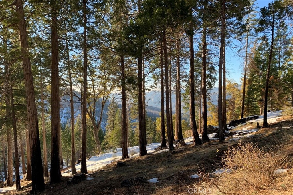 7170 7174 Yosemite Park Way, Yosemite, CA 95389