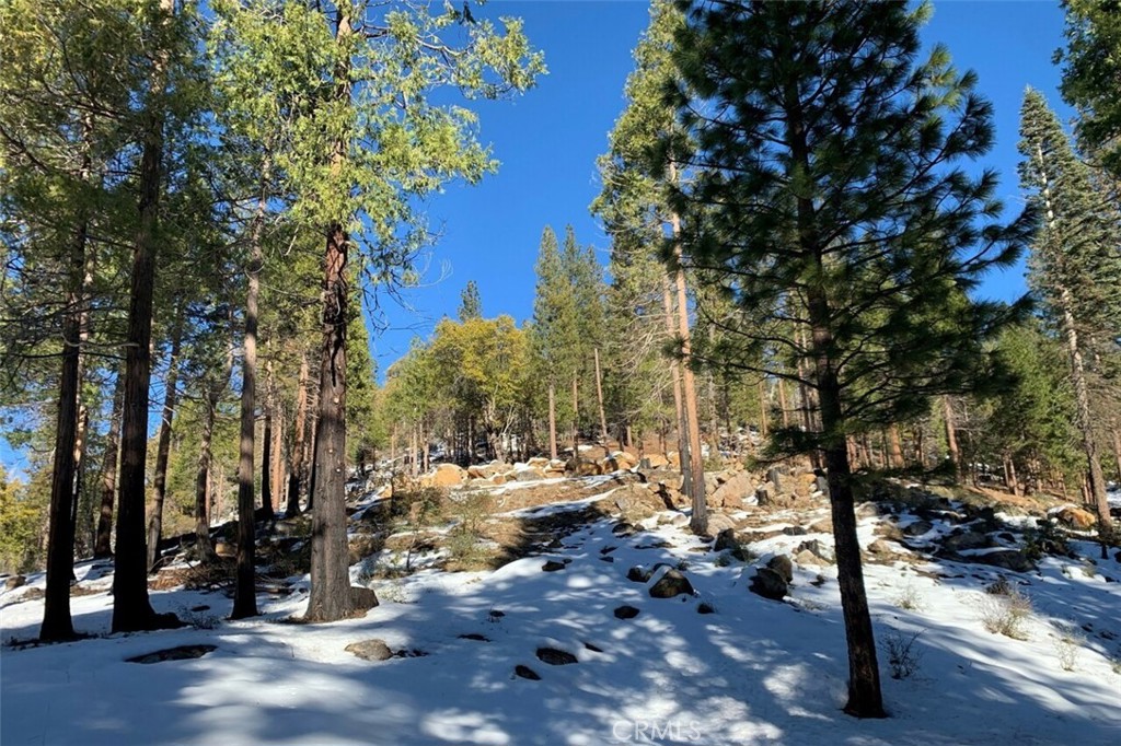 7170 7174 Yosemite Park Way, Yosemite, CA 95389