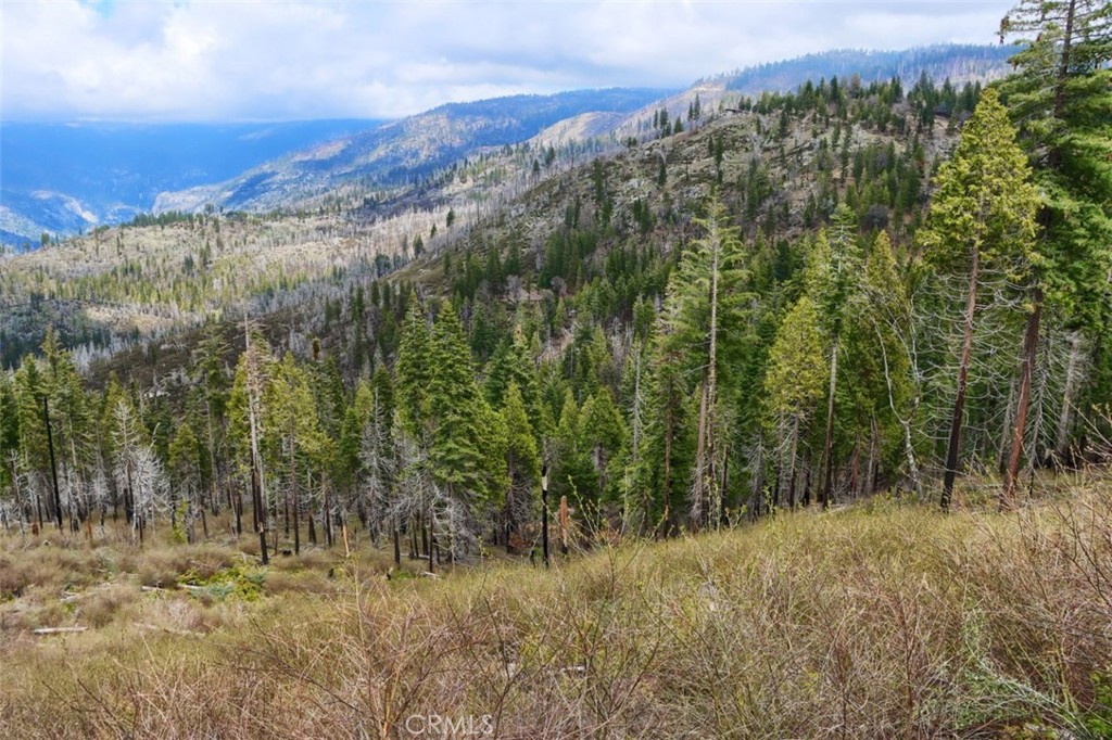 7170 7174 Yosemite Park Way, Yosemite, CA 95389